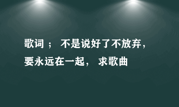 歌词 ； 不是说好了不放弃，要永远在一起， 求歌曲