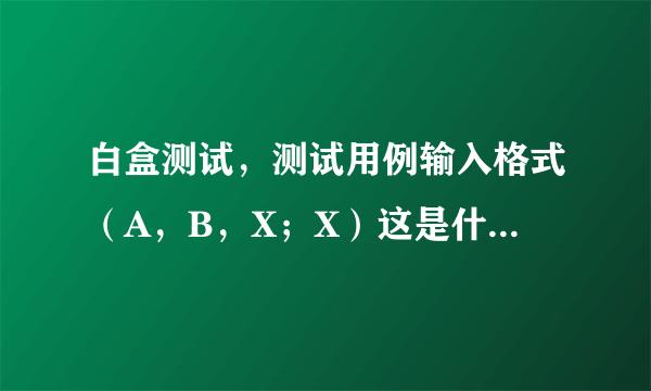 白盒测试，测试用例输入格式（A，B，X；X）这是什么意思，为什么会输入两个X