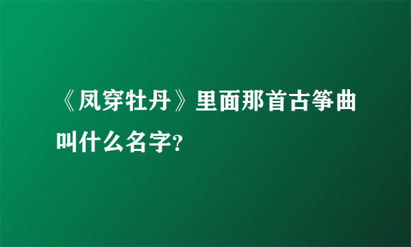 《凤穿牡丹》里面那首古筝曲叫什么名字？