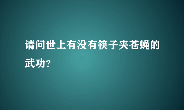 请问世上有没有筷子夹苍蝇的武功？