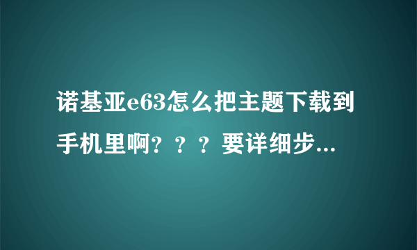 诺基亚e63怎么把主题下载到手机里啊？？？要详细步骤~~~