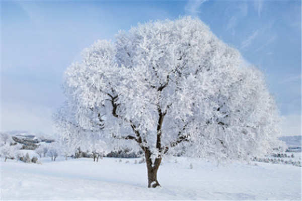 内蒙古特大暴雪：学校停课，机场关闭，当地现场的情况怎么样？