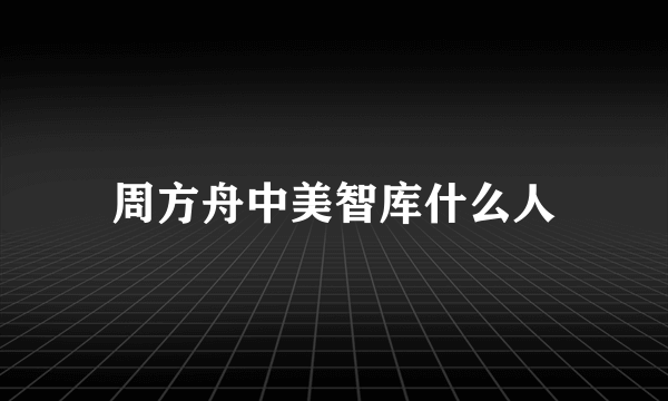 周方舟中美智库什么人