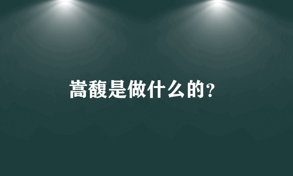 嵩馥是做什么的？