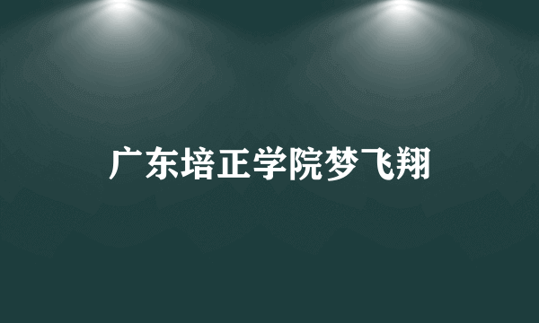 广东培正学院梦飞翔