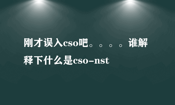 刚才误入cso吧。。。。谁解释下什么是cso-nst