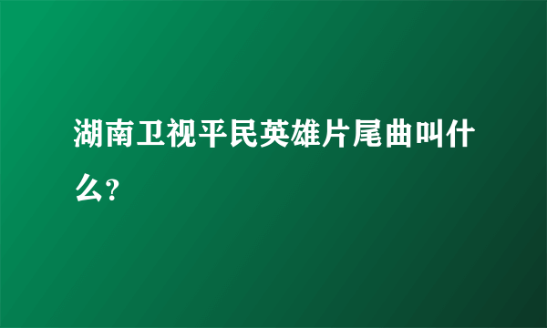 湖南卫视平民英雄片尾曲叫什么？