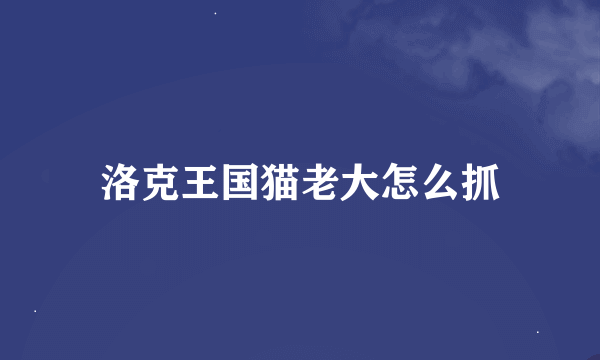 洛克王国猫老大怎么抓