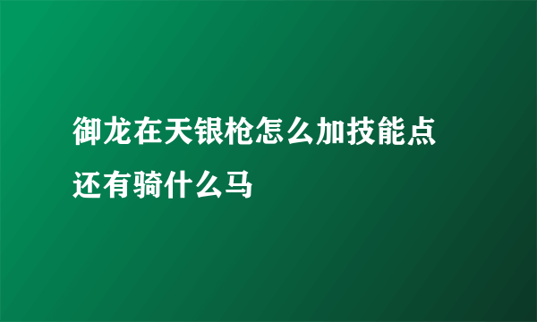 御龙在天银枪怎么加技能点 还有骑什么马