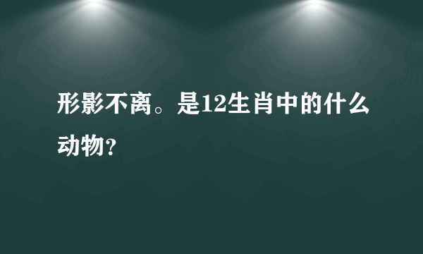 形影不离。是12生肖中的什么动物？