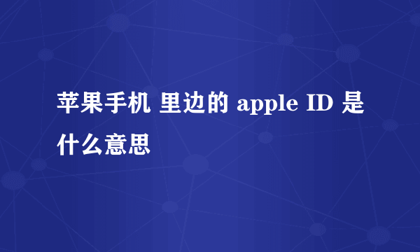 苹果手机 里边的 apple ID 是什么意思