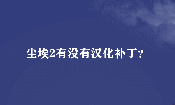 尘埃2有没有汉化补丁？