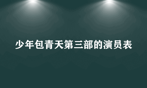 少年包青天第三部的演员表