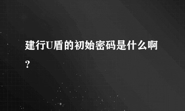 建行U盾的初始密码是什么啊？