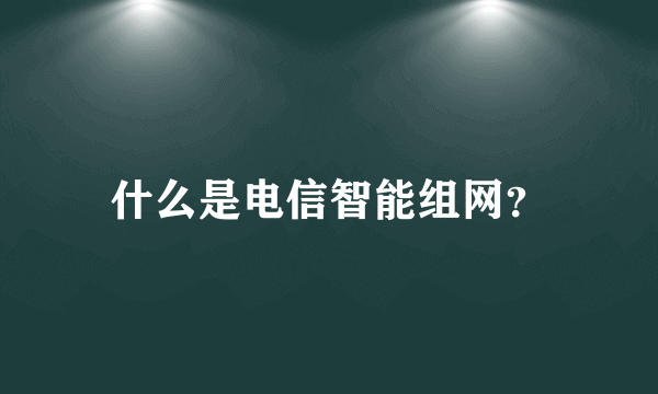 什么是电信智能组网？