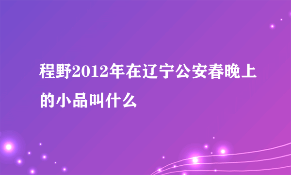 程野2012年在辽宁公安春晚上的小品叫什么