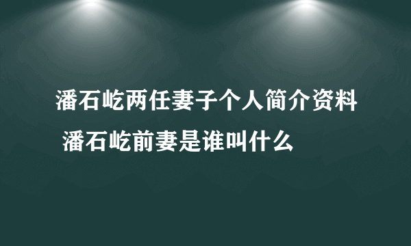 潘石屹两任妻子个人简介资料 潘石屹前妻是谁叫什么