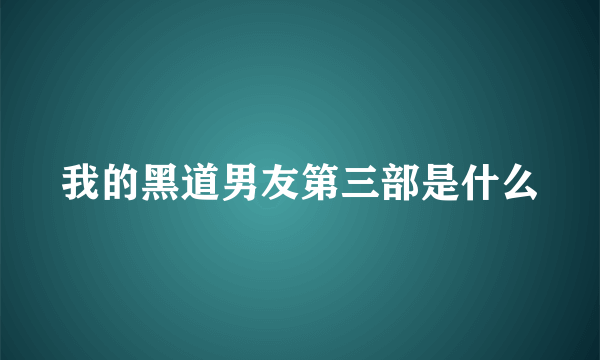 我的黑道男友第三部是什么