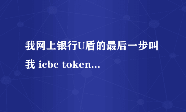 我网上银行U盾的最后一步叫我 icbc token   输入PIN是什么意思要详细   我网上的看过了还是不明白什么意思