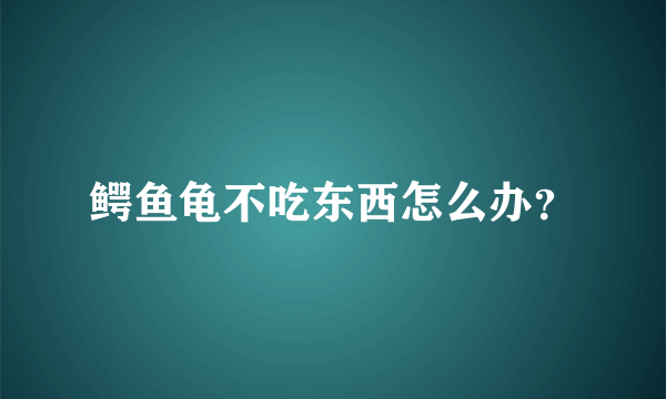 鳄鱼龟不吃东西怎么办？