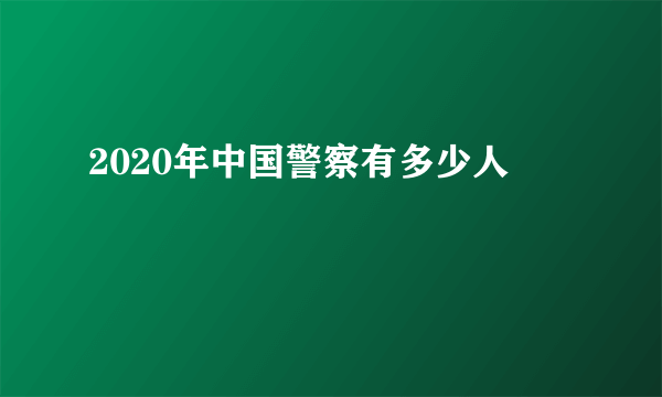 2020年中国警察有多少人