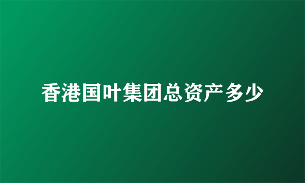 香港国叶集团总资产多少