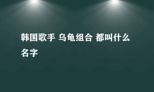 韩国歌手 乌龟组合 都叫什么名字