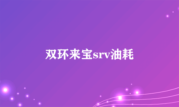 双环来宝srv油耗