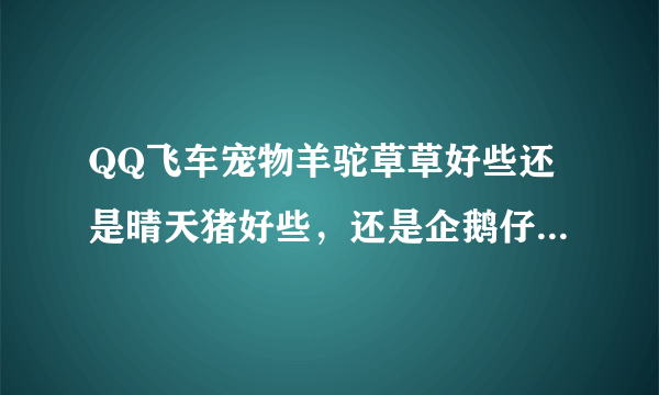 QQ飞车宠物羊驼草草好些还是晴天猪好些，还是企鹅仔仔好些？