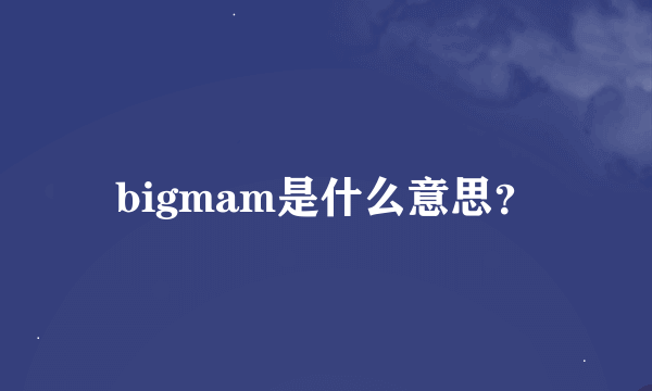 bigmam是什么意思？