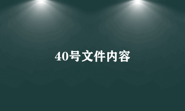 40号文件内容