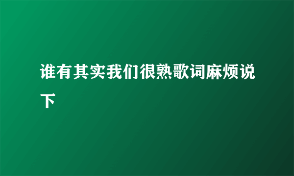 谁有其实我们很熟歌词麻烦说下