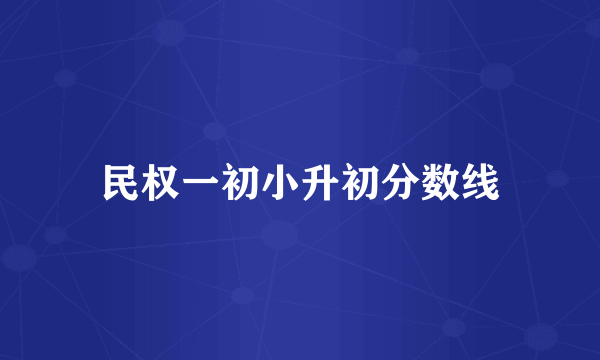 民权一初小升初分数线