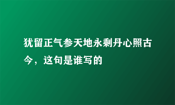 犹留正气参天地永剩丹心照古今，这句是谁写的