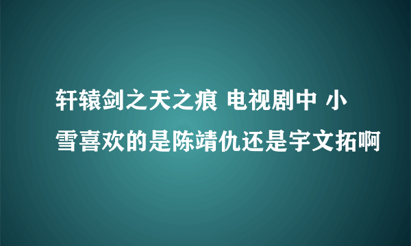 轩辕剑之天之痕 电视剧中 小雪喜欢的是陈靖仇还是宇文拓啊