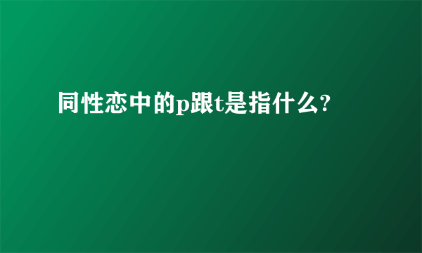 同性恋中的p跟t是指什么?