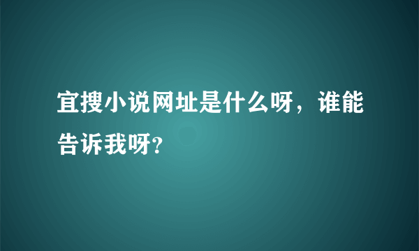 宜搜小说网址是什么呀，谁能告诉我呀？