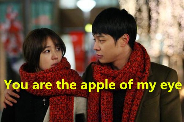 You are the apple of my eye 请问这句话是什么意思？