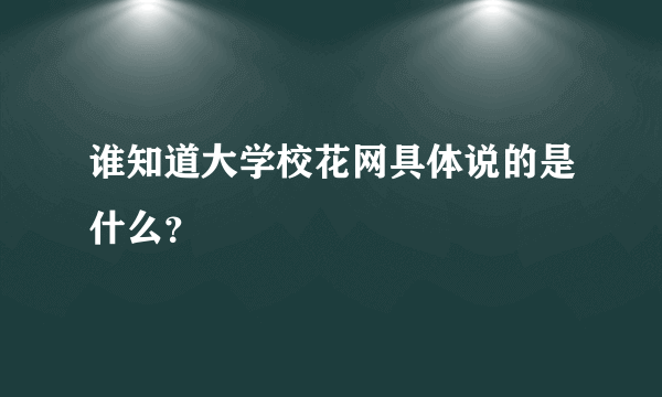 谁知道大学校花网具体说的是什么？