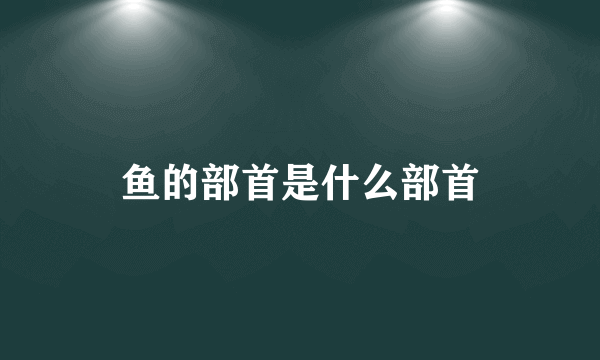 鱼的部首是什么部首