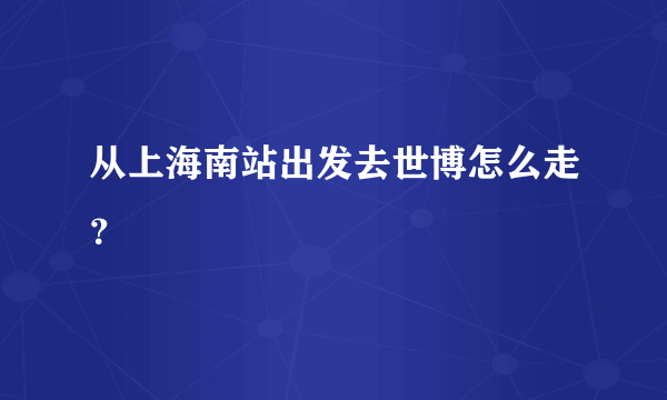 从上海南站出发去世博怎么走？