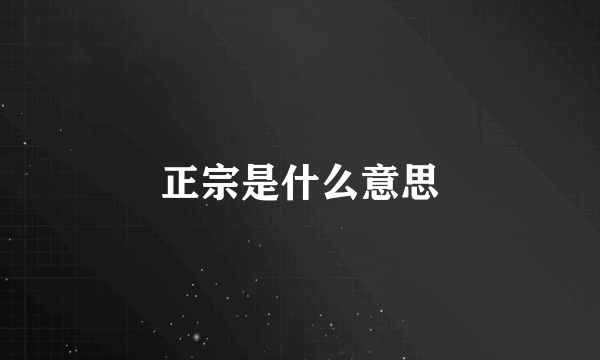 正宗是什么意思