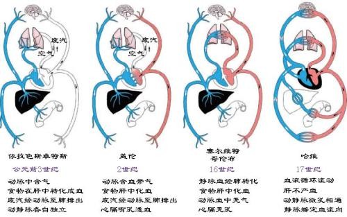 什么是循环系统？