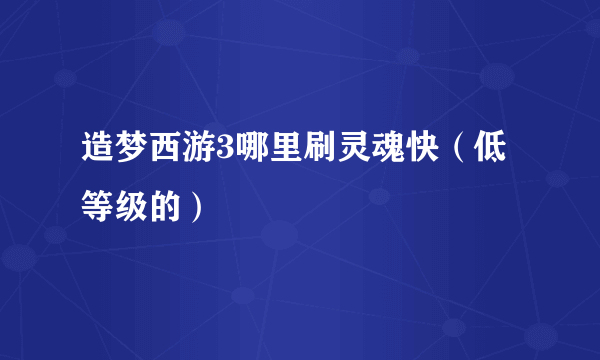 造梦西游3哪里刷灵魂快（低等级的）