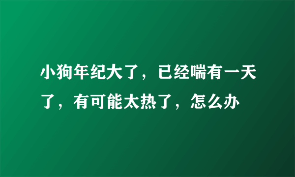 小狗年纪大了，已经喘有一天了，有可能太热了，怎么办