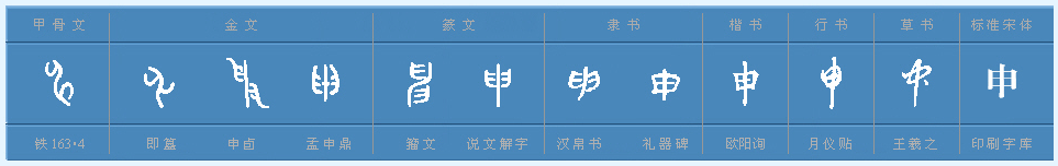 申字的部首是什么？