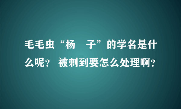 毛毛虫“杨揦子”的学名是什么呢？ 被刺到要怎么处理啊？