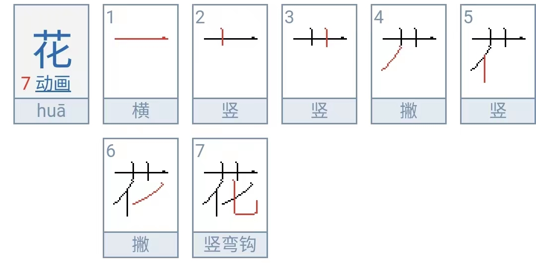 花的笔顺怎么写