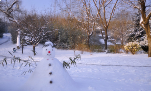 “瑞雪兆丰年”的意思