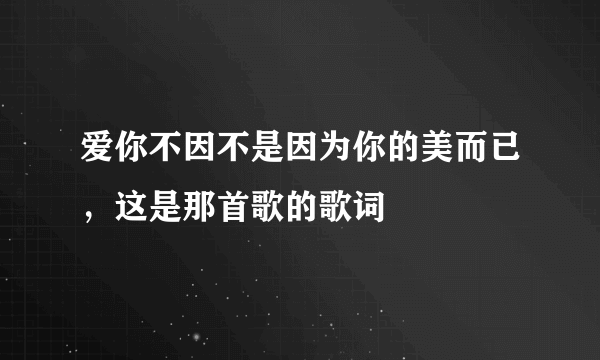 爱你不因不是因为你的美而已，这是那首歌的歌词